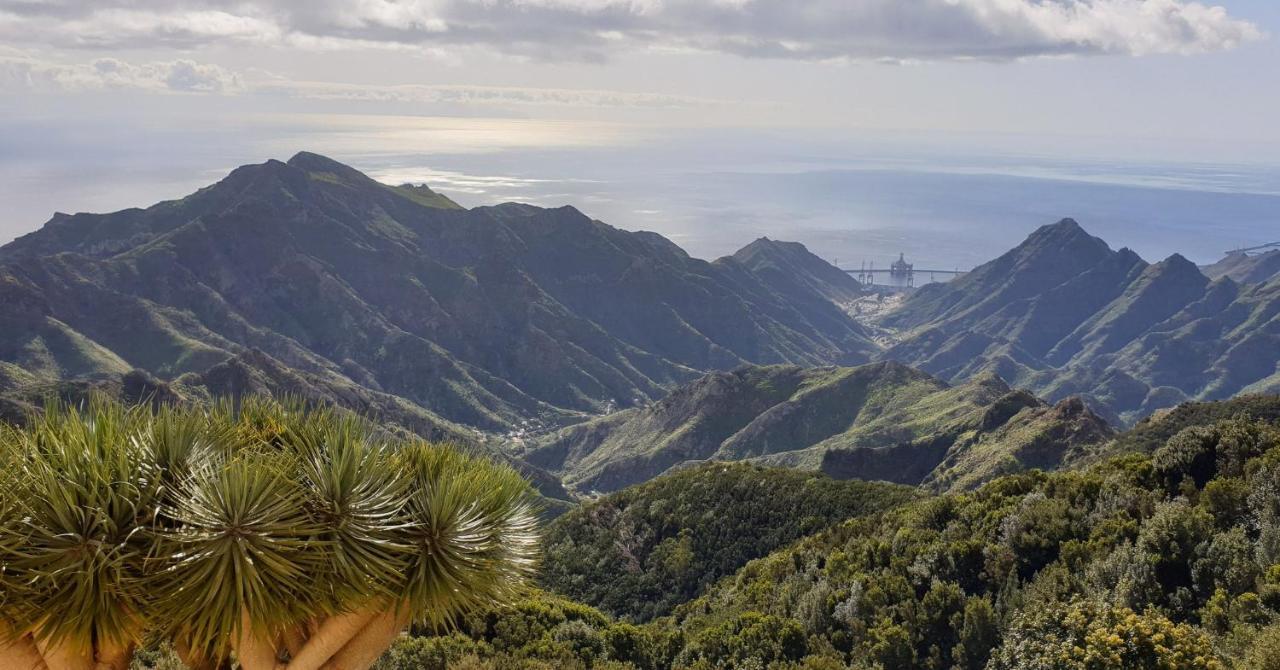 Santa Cruz De Tenerife Toscal Eksteriør billede